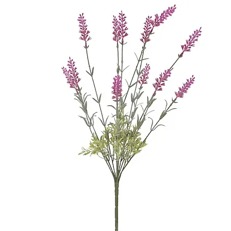 images/uploads/12165/thumb_1753 FOUX.webp